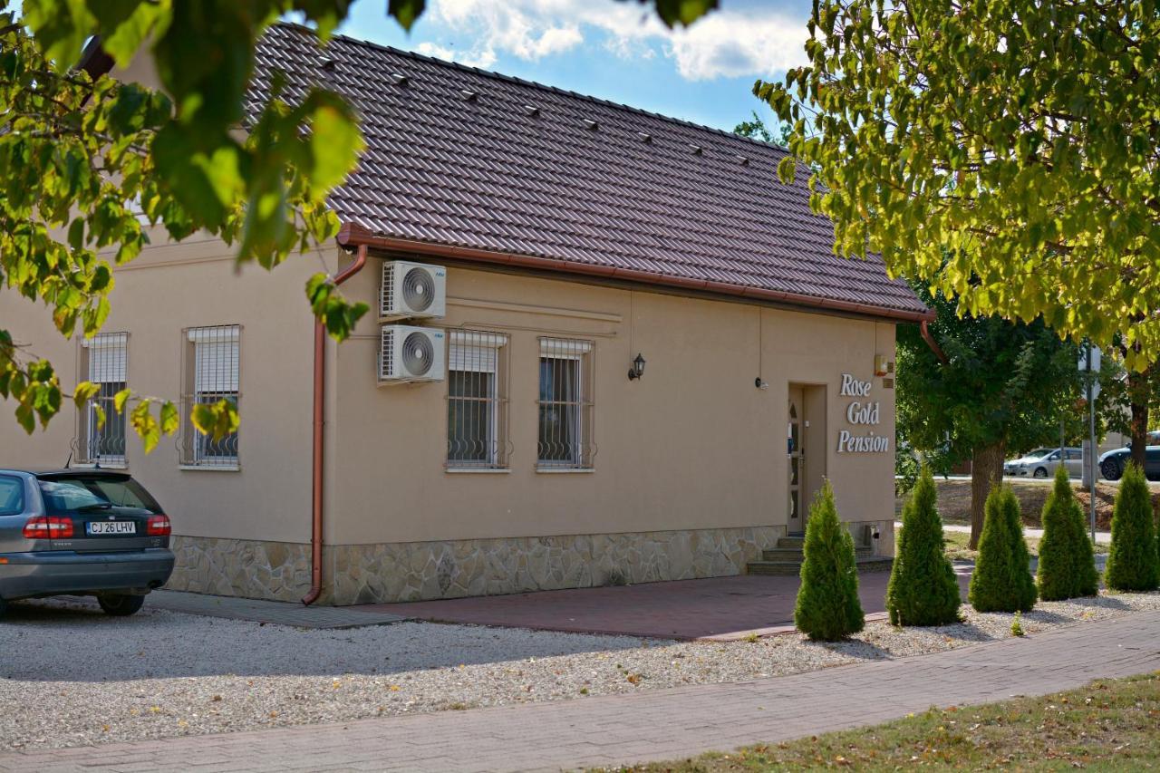 R.Gold Apartman Makó Εξωτερικό φωτογραφία